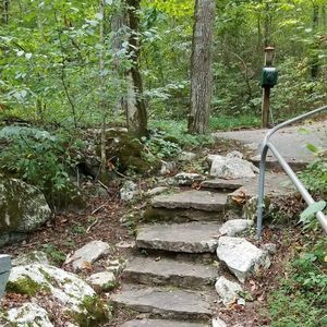 Meet your Posher, Rhonda